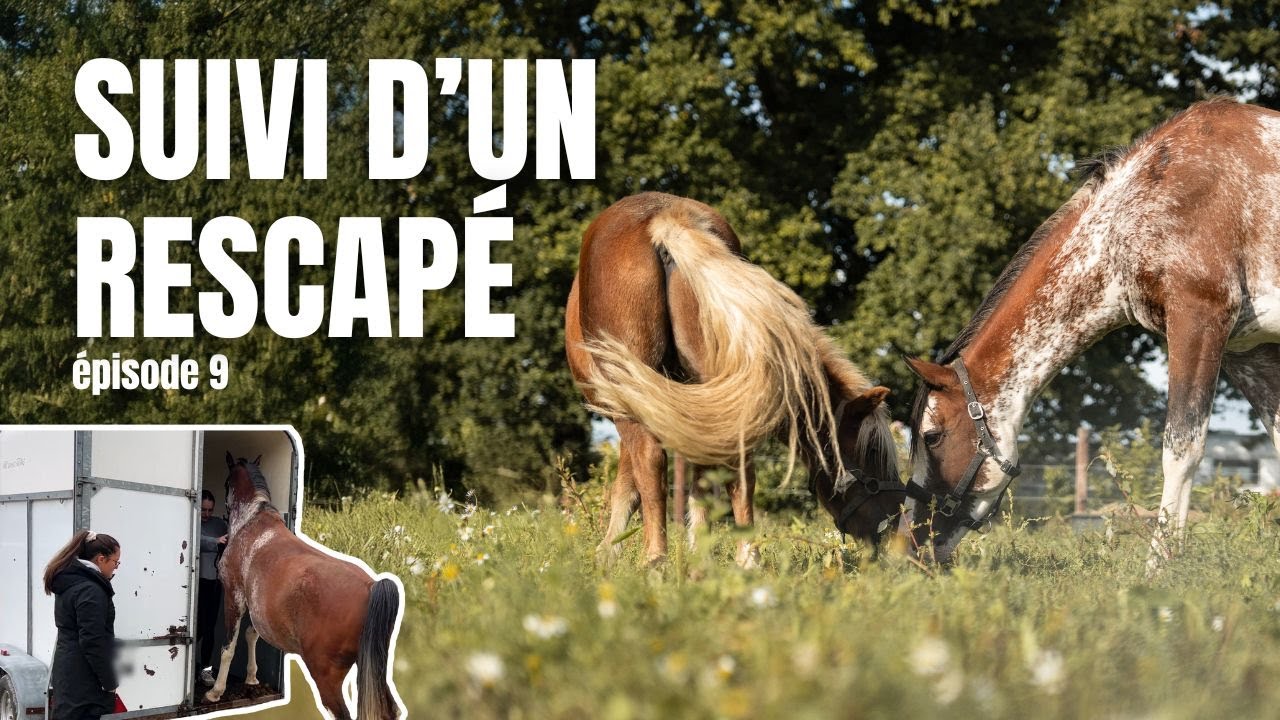 [ÉPISODE 9] Il ne devait pas rester… et pourtant ❤️