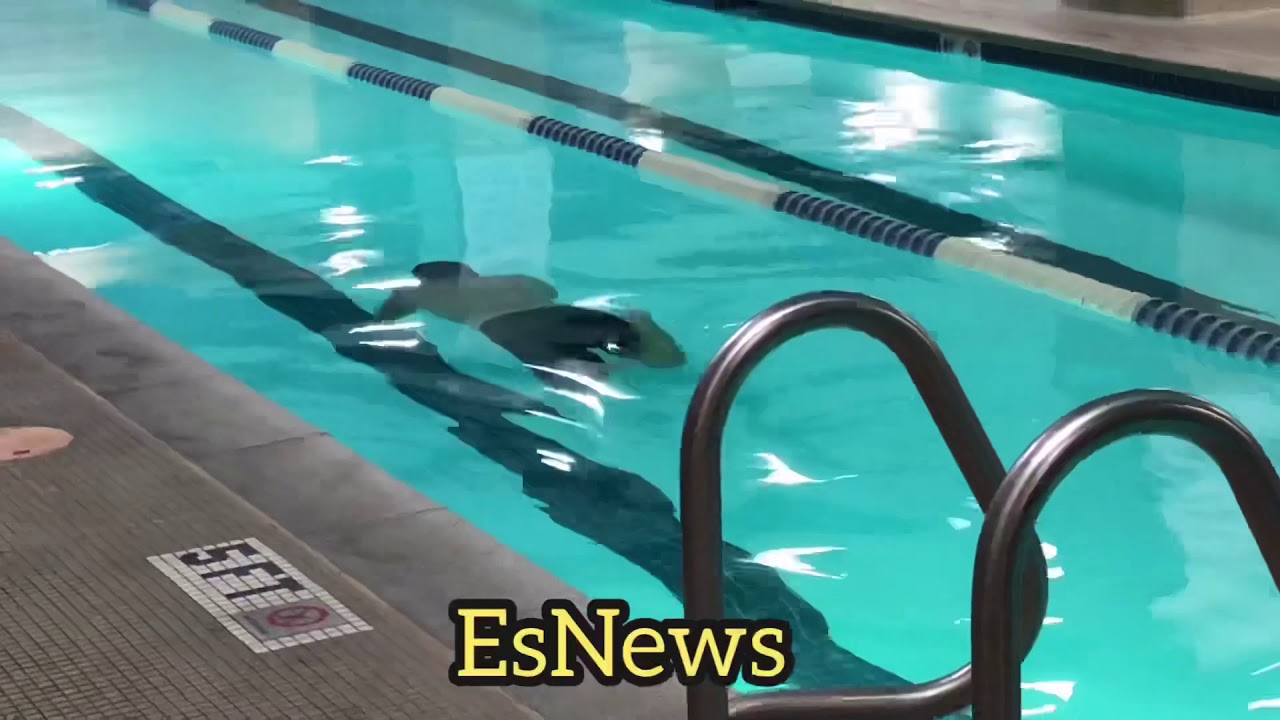Chris Avila swims Like a shark