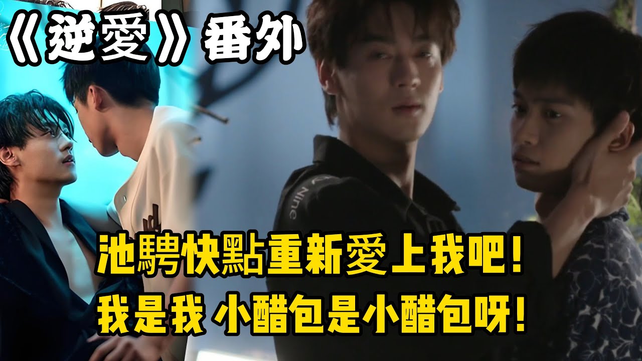 10《逆愛》：番外！（10）池騁快點重新愛上我吧！我可以去你家看看蛇嗎？我是我，小醋包是小醋包呀！#田栩宁 #梓渝 #吴所畏 #池骋 #逆爱 #revenged
