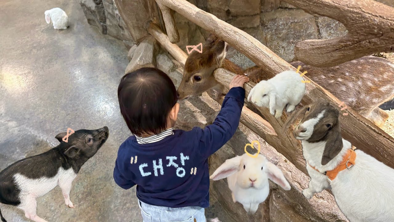 헬로우쥬 실내동물원 
