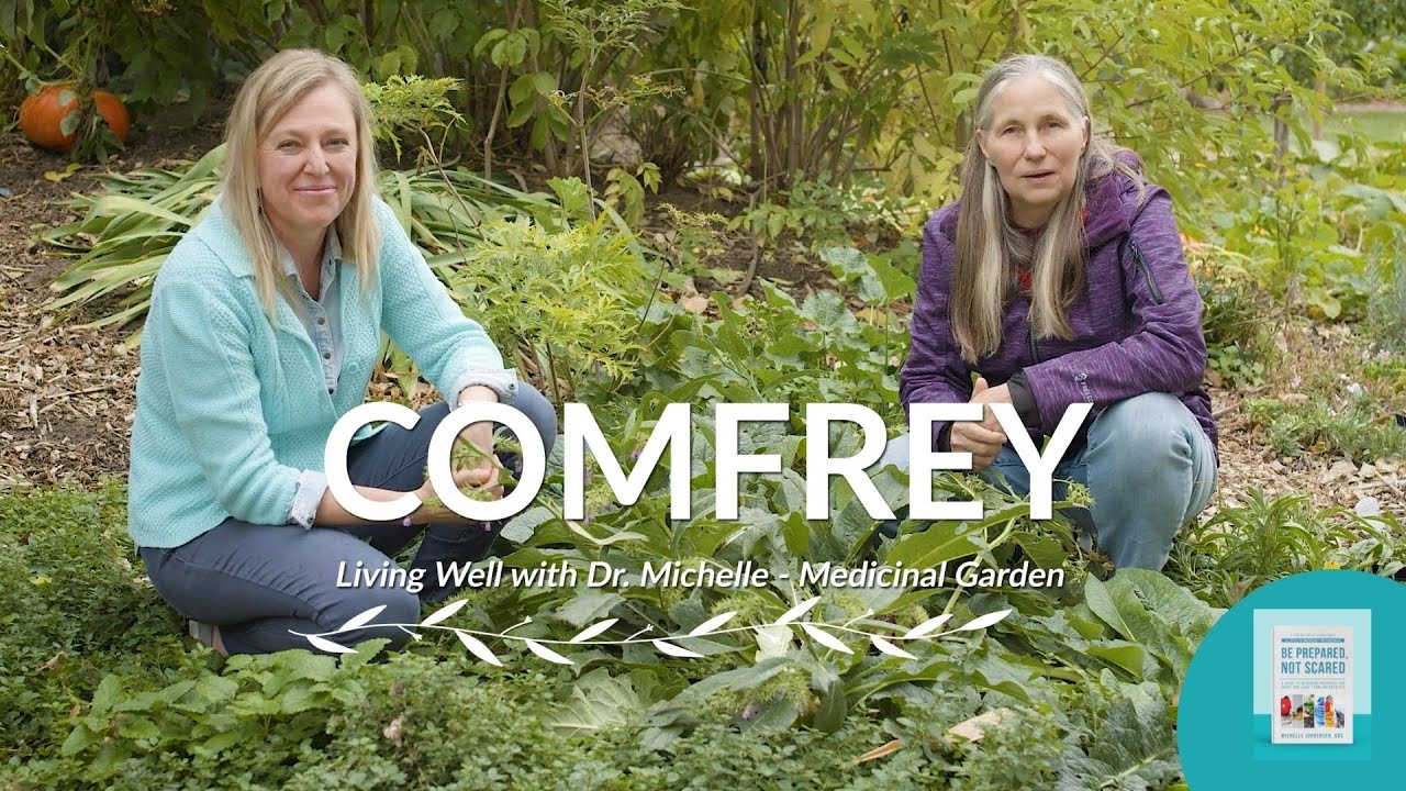 Michelle Jorgensen & Marjory Wildcraft - The Health Benefits Of Comfrey