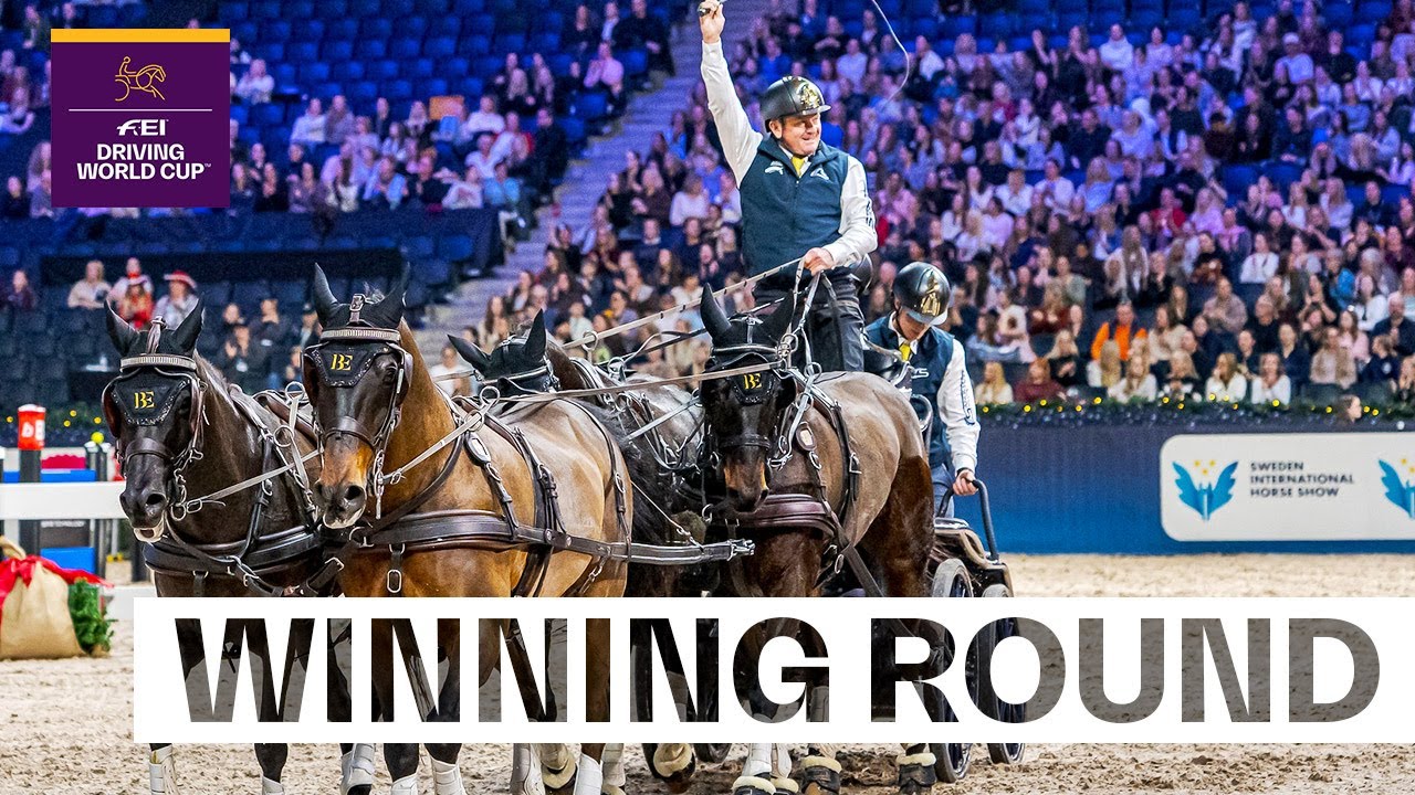 Boyd Exell excels again in Sweden! 👏🇸🇪 |  FEI Driving World Cup&trade; Stockholm 2025