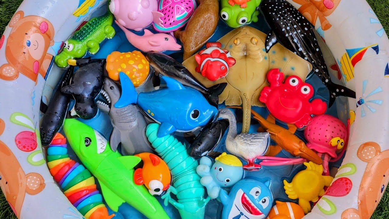 Colorful Sea Animals for Kids | Learning Names with Fun Toy Water Play