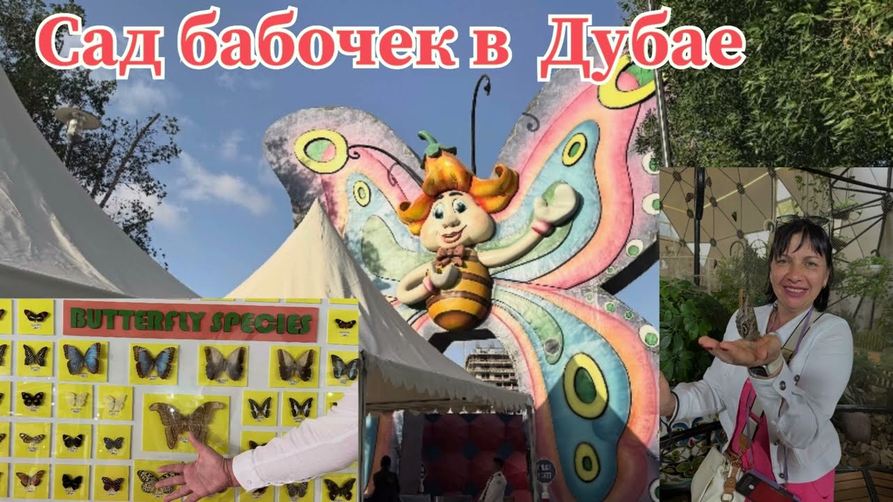 Сад бабочек в Дубае 