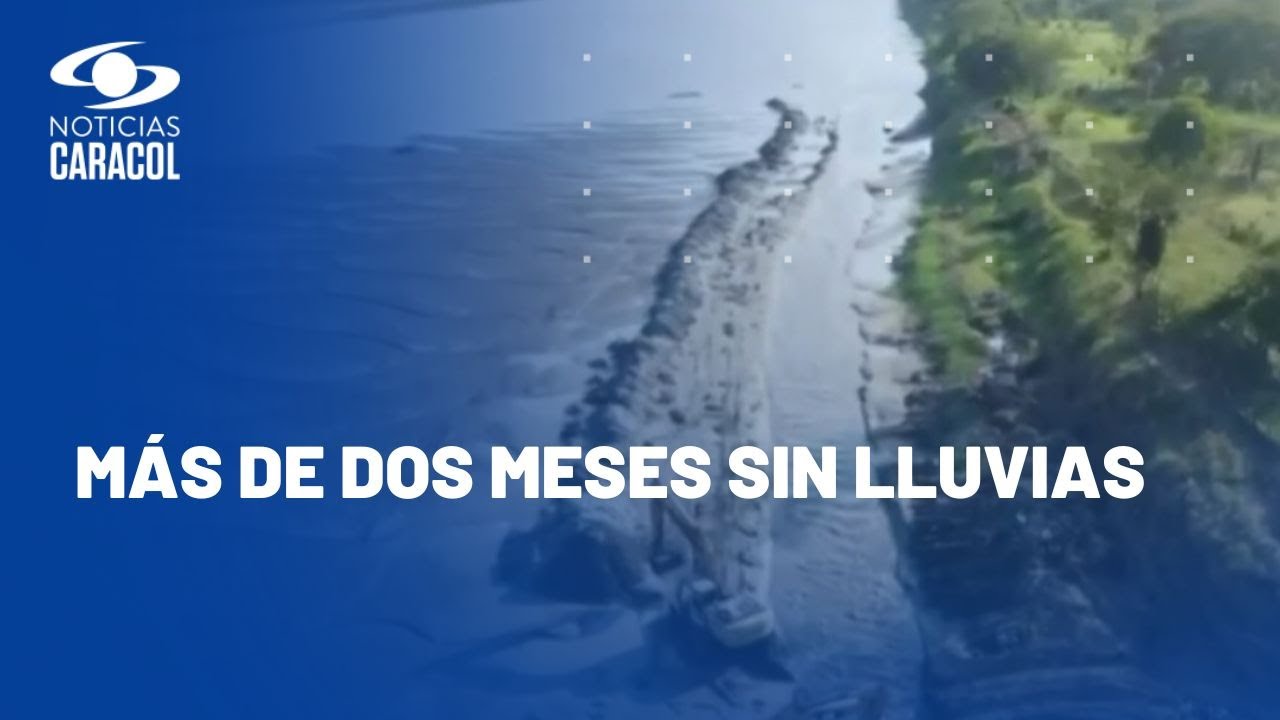 Río Magdalena se seca: ganaderos, agricultores y pescadores claman ayuda