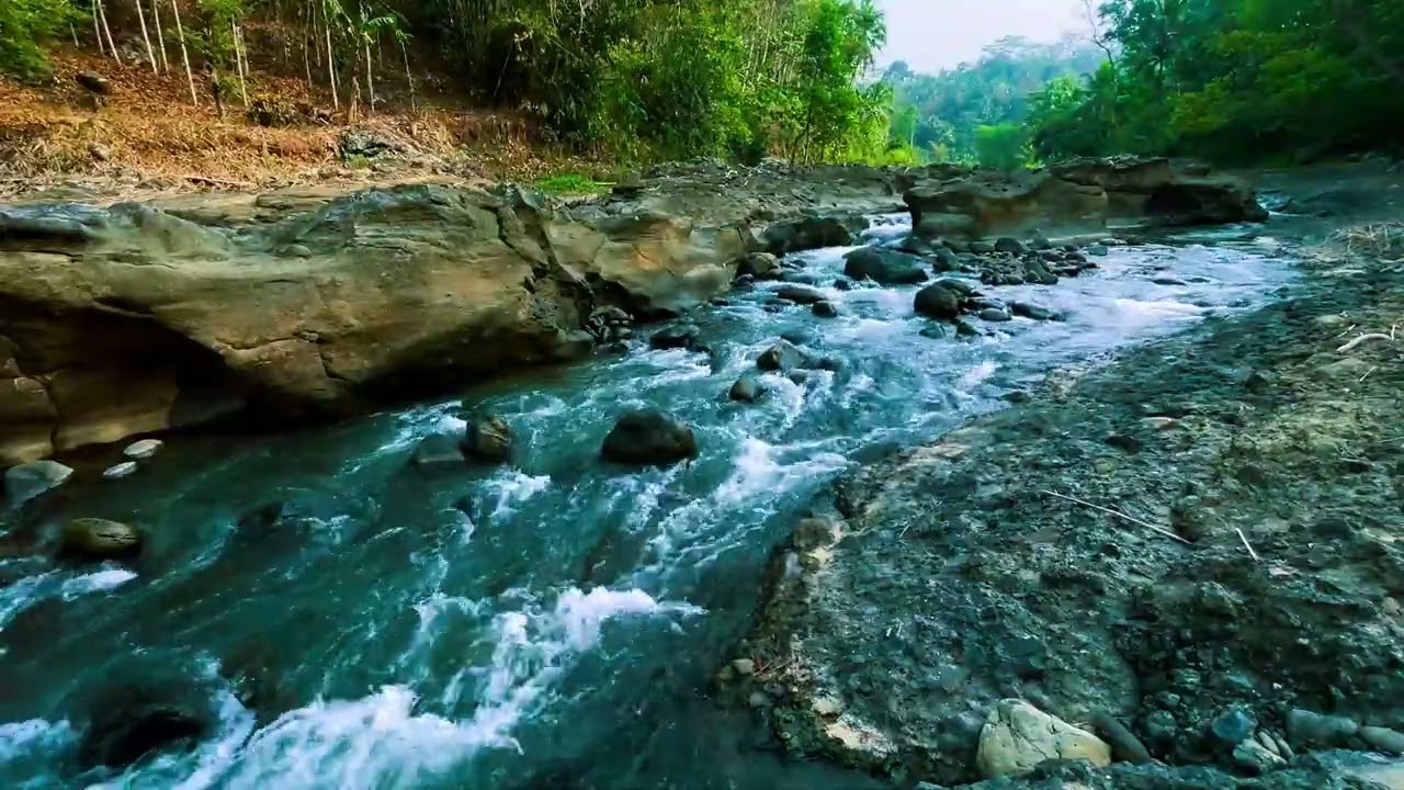 Relaxing River Sounds In the Interior of Indonesia's Still Natural Tropical Forest