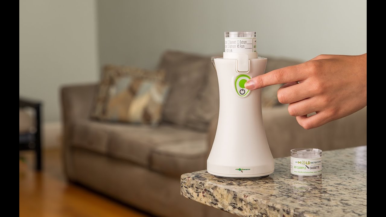 DIY mold detector