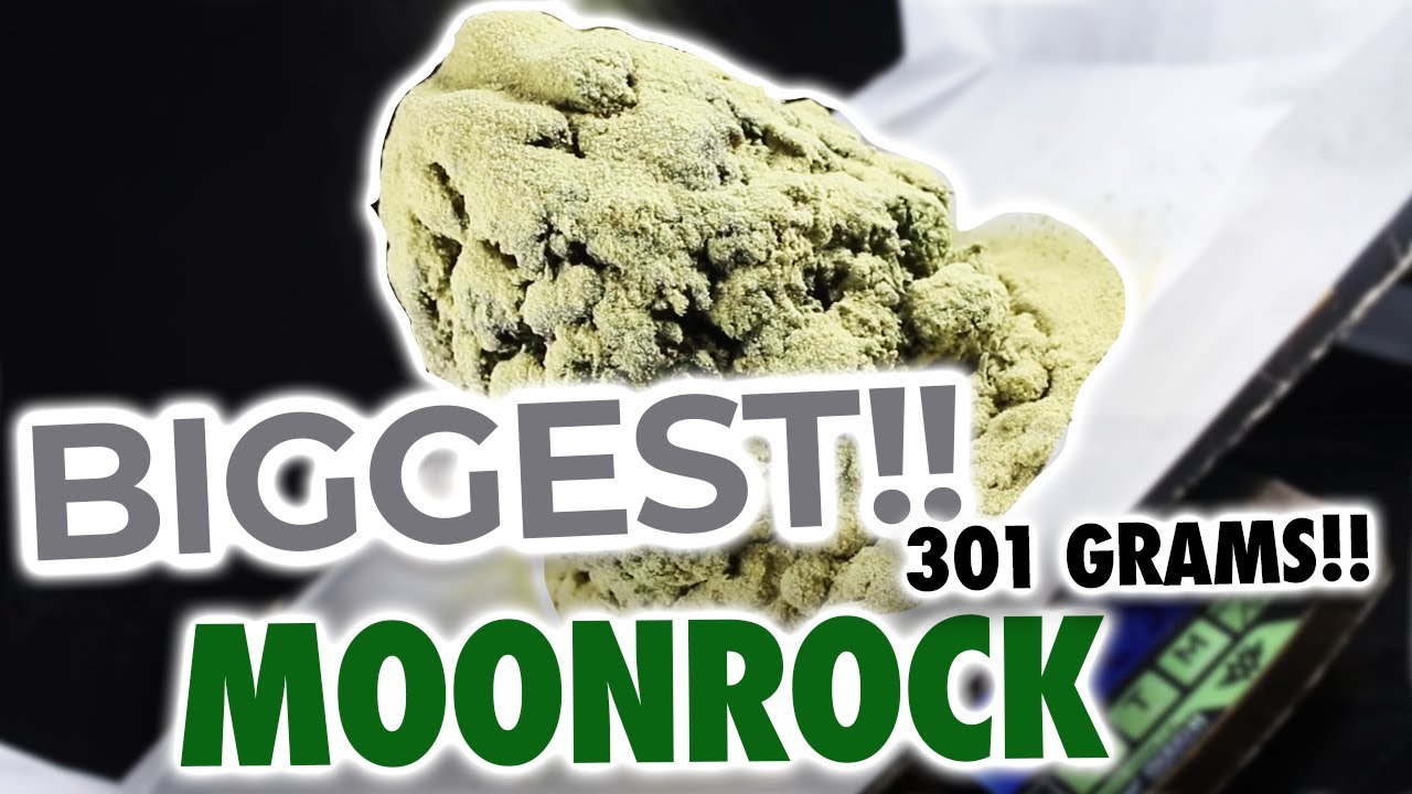 The World's Biggest Moon Rock! | 301 Grams!
