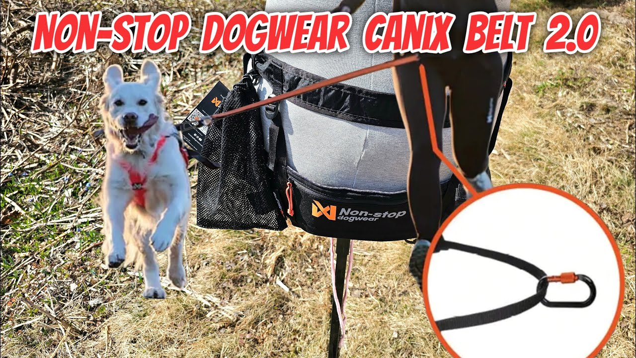 Non Stop Dogwear Canix Belt 2 0 Canicross Belt for running with dogs