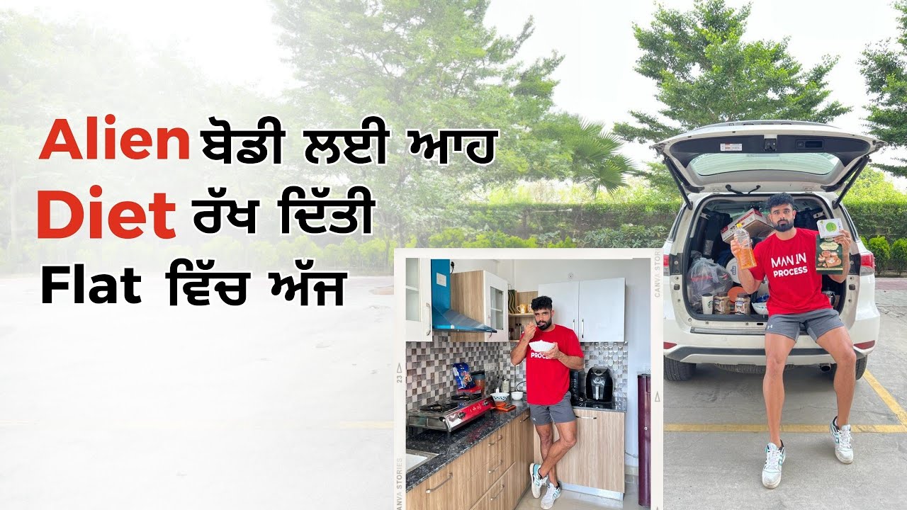 Grocery Rakh Ditti Flat Vich Aj..Alien Body Lyi Kuch VKarna Manzoor AA