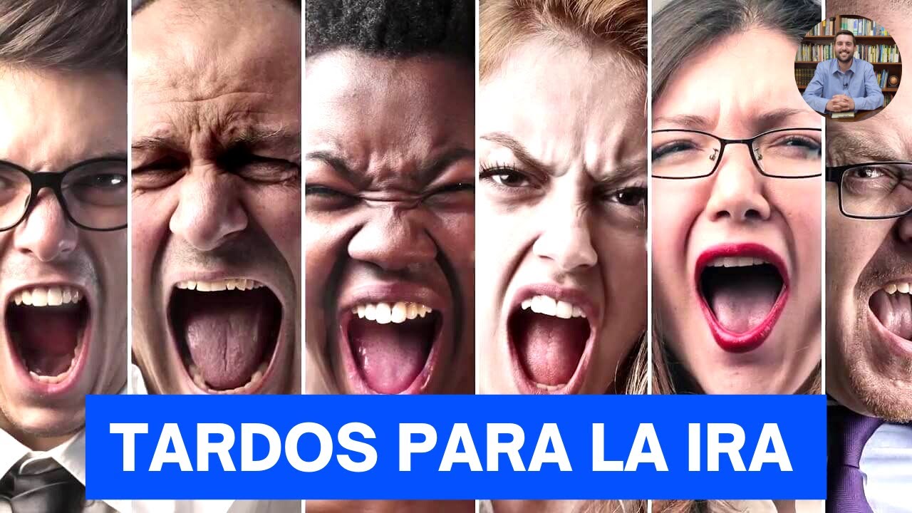8. Tardos Para la IRA - Juan Manuel Vaz
