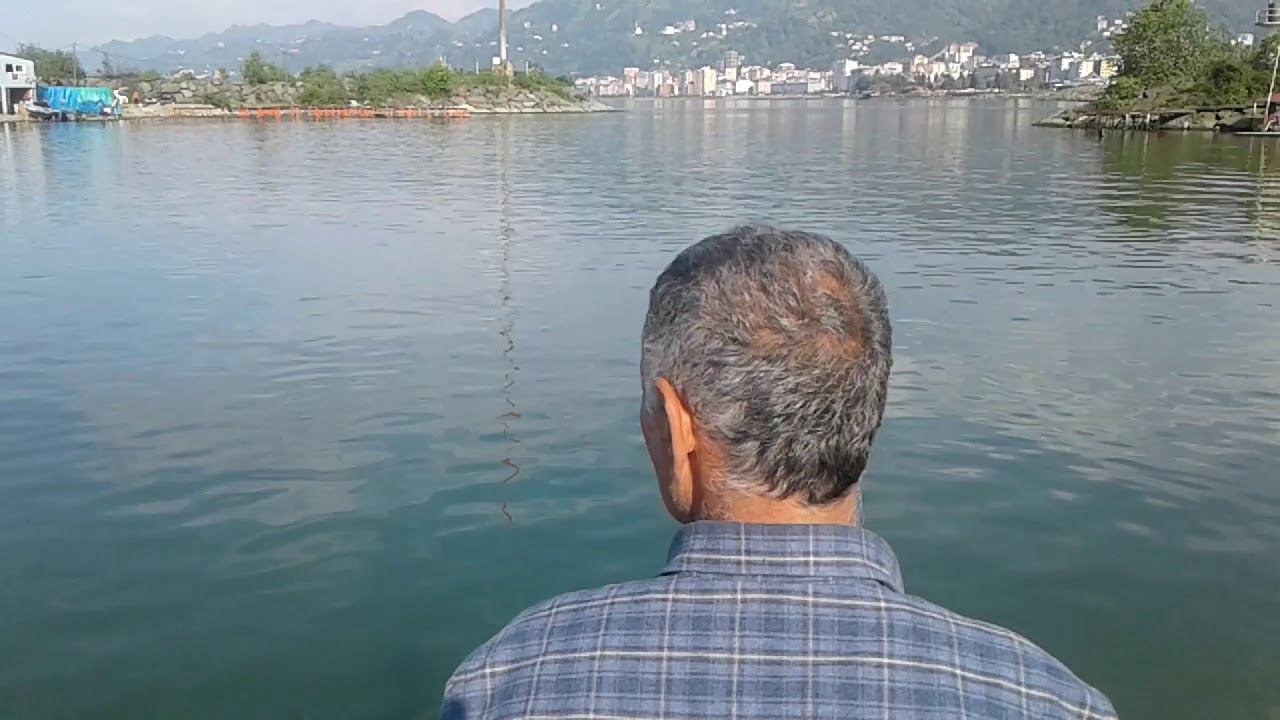 Balık avı (Bölüm 9) üçlü kanca ile kefal balığı yakalamaya çalışıyor.