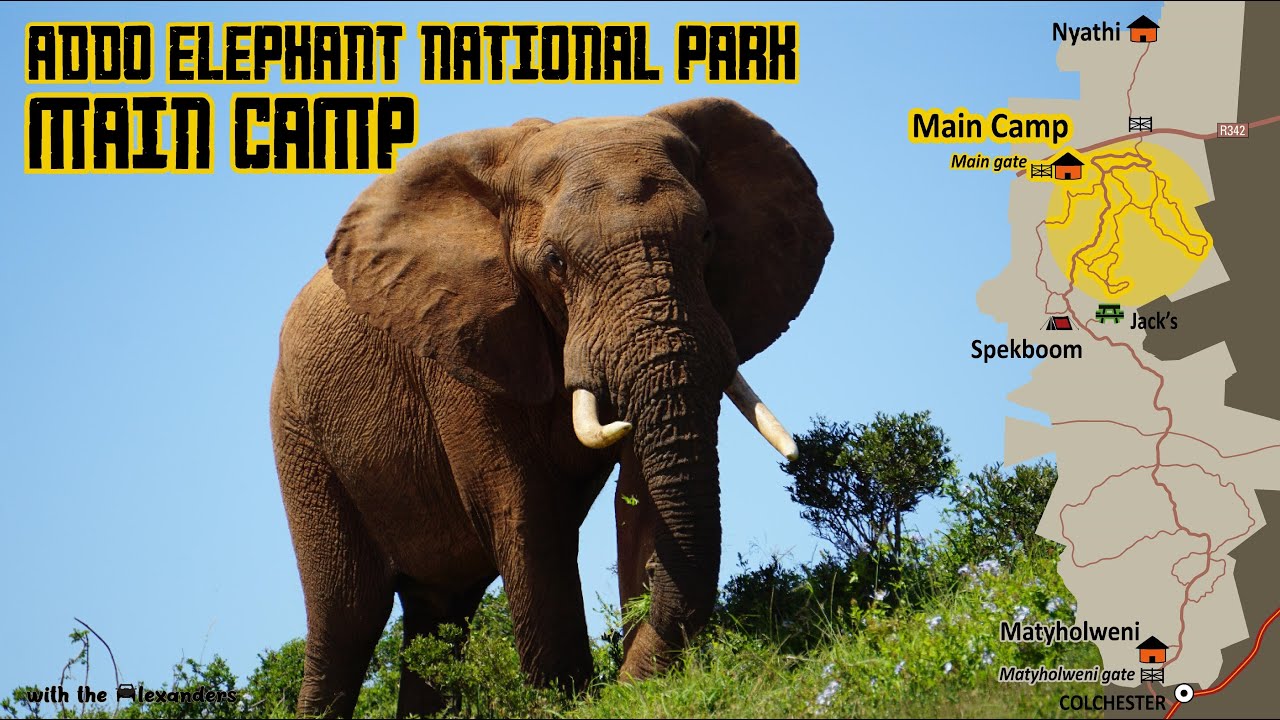 Addo Elephant National Park: Addo Main Camp