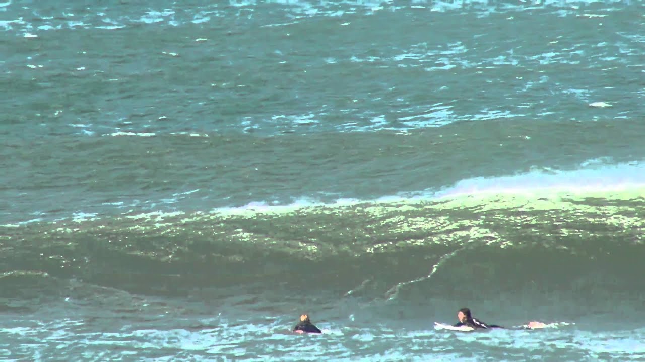 Surfers at Thirroul Beach
