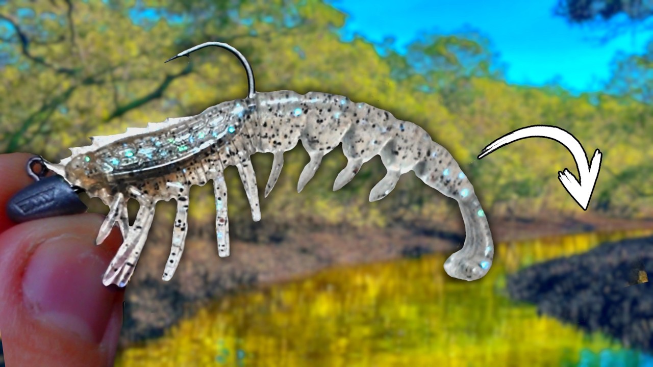 finding fish in this TINY URBAN CREEK | fishing DEEP in the MANGROVES