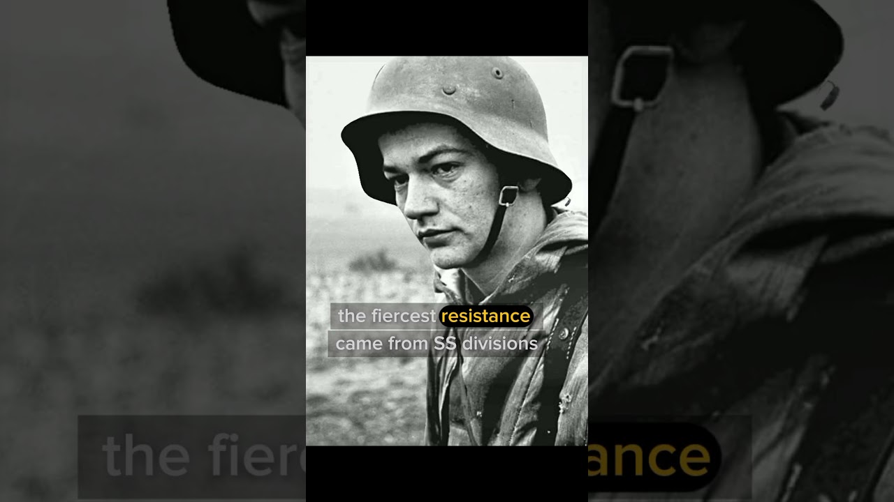 What Happened to the SS Divisions That Didn&rsquo;t Surrender in WW2?