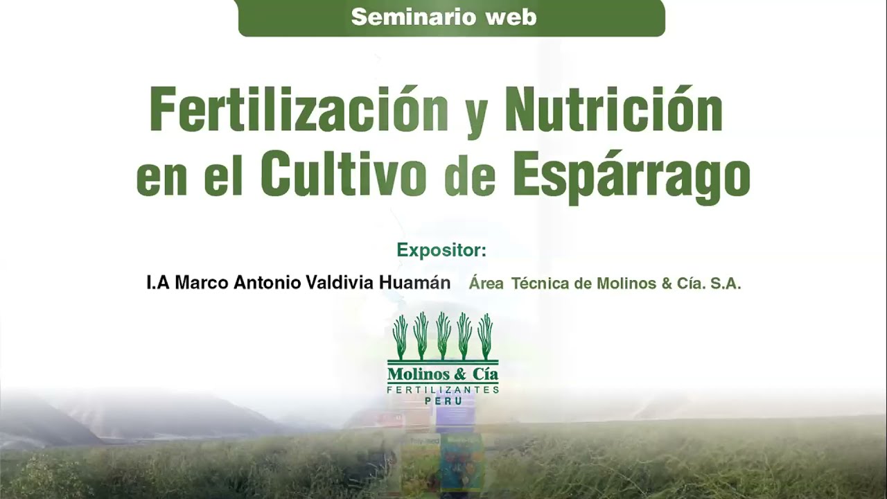 Fertilización y Nutrición en el Cultivo de Espárrago