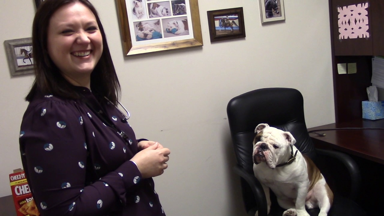 Meet Roxanne Rogers - Family Doctor in Vermilion, Ohio