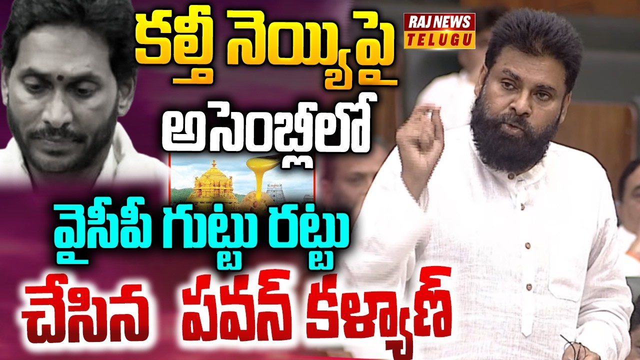 కల్తీ నెయ్యిపై అసెంబ్లీలో వైసీపీ గుట్టు రట్టు చేసిన పవన్ కళ్యాణ్ | Pawan Kalyan Speech | Assembly