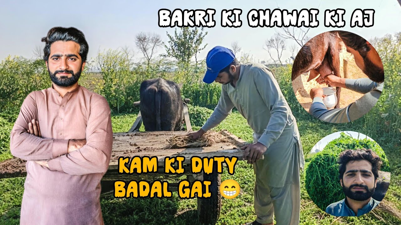 AJ maine 1st time bakri ka dodh dhoya 😁 | Kam ki duty change ho gai | Daily vlog ❤️