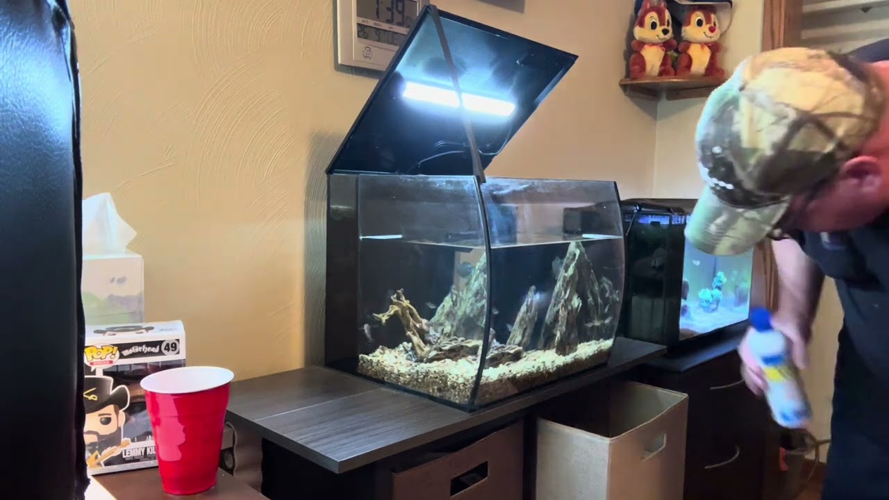 Fluval Flex 15 Basic Maintenance