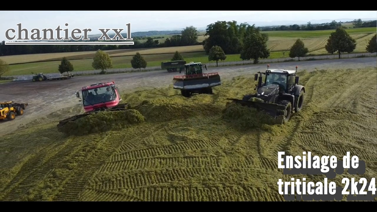 Ensilage de Triticale immature | 15 bennes | 1 ensileuse !