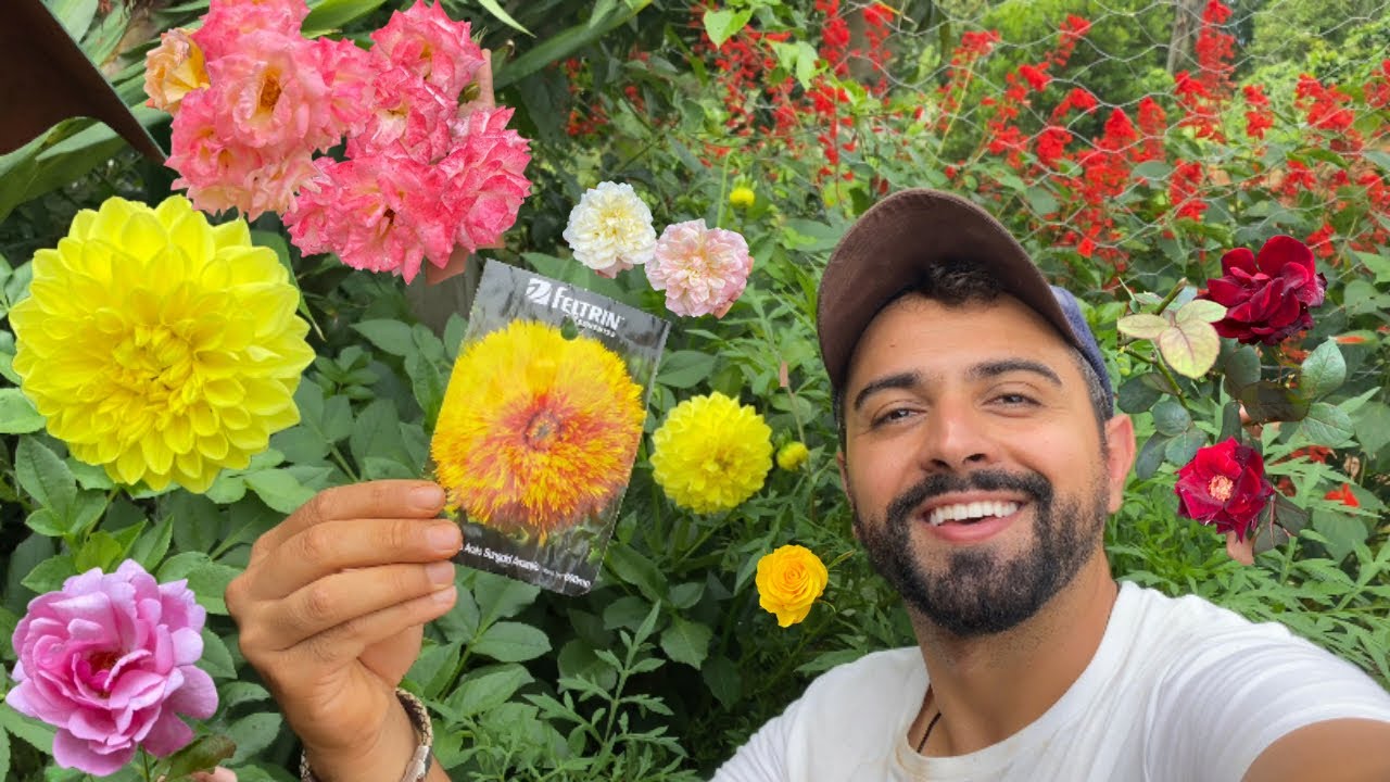 🌻 SEMEANDO MUITAS SEMENTES DE GIRASSOL EM NOSOS JARDIM  | GUTIZGRILO 
