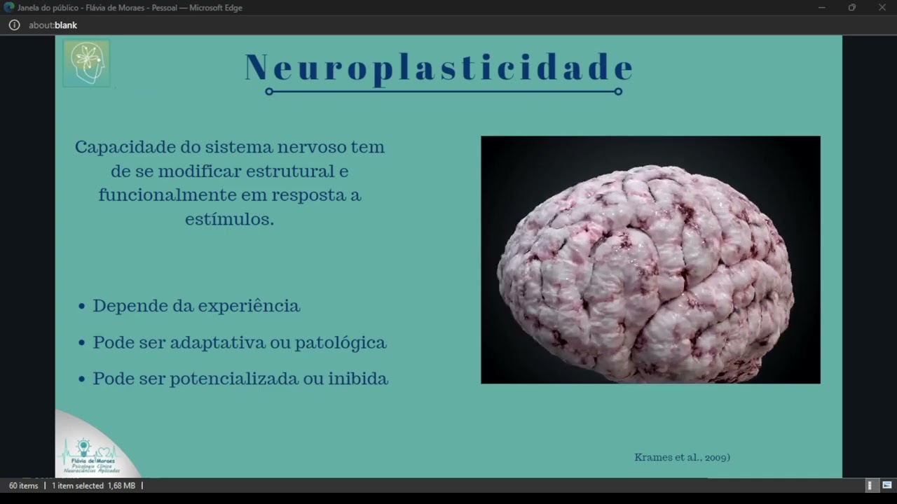 Congresso ETCC