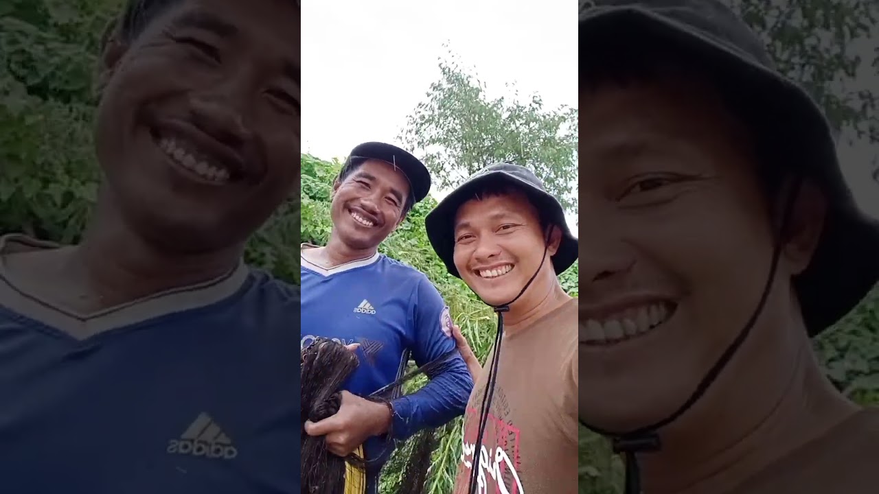Great To See Fishing Team #teamfishing #shorts #video #amazing #fishing g #lifeisbutadream  #viral