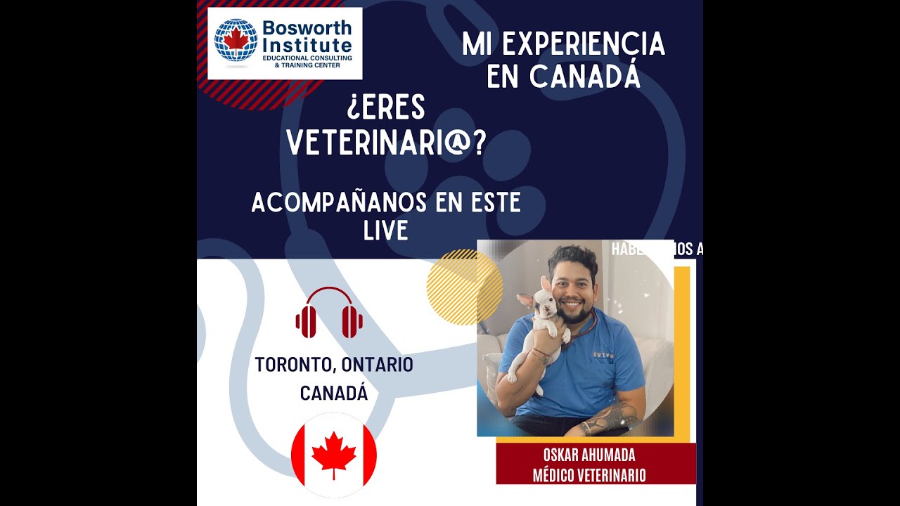 Trabajar como Veterinario en Canadá