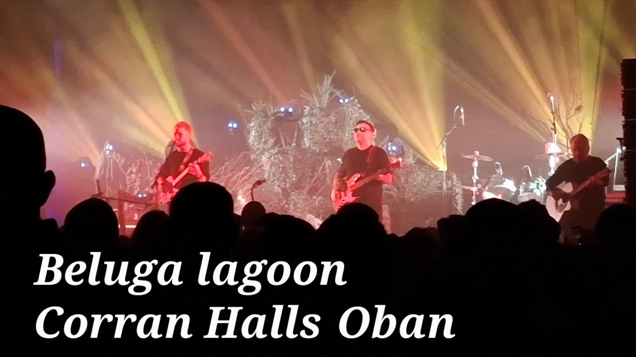 Beluga Lagoon live at The Corran Halls Oban 1st Nov 2025 - Still , Hebridean Breeze , Raineach