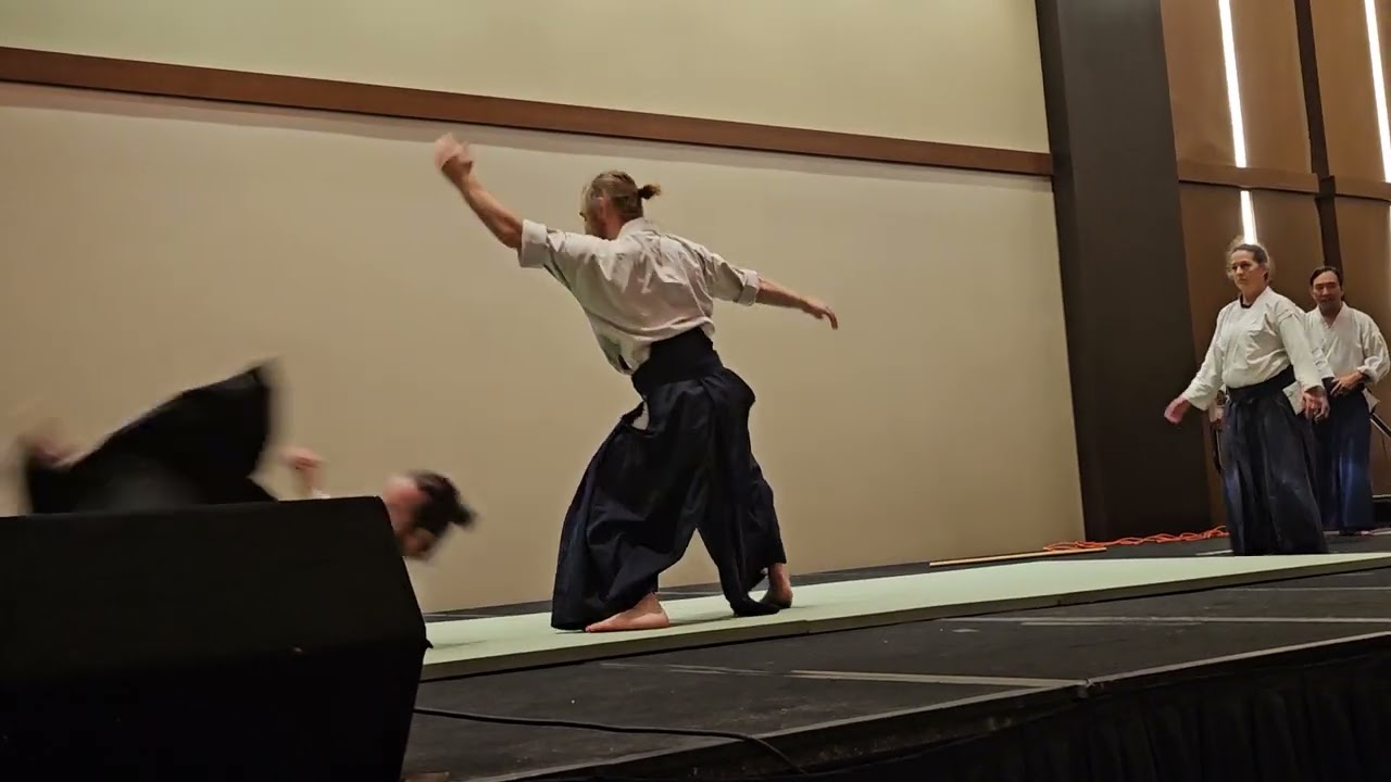 2024 Anime Magic aikido demo by Chicago Aikikai (freestyle closing)