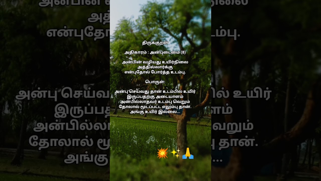 #thirukkural#anbudaimai athigaram#anbu#valluvam#bewithlove🤍