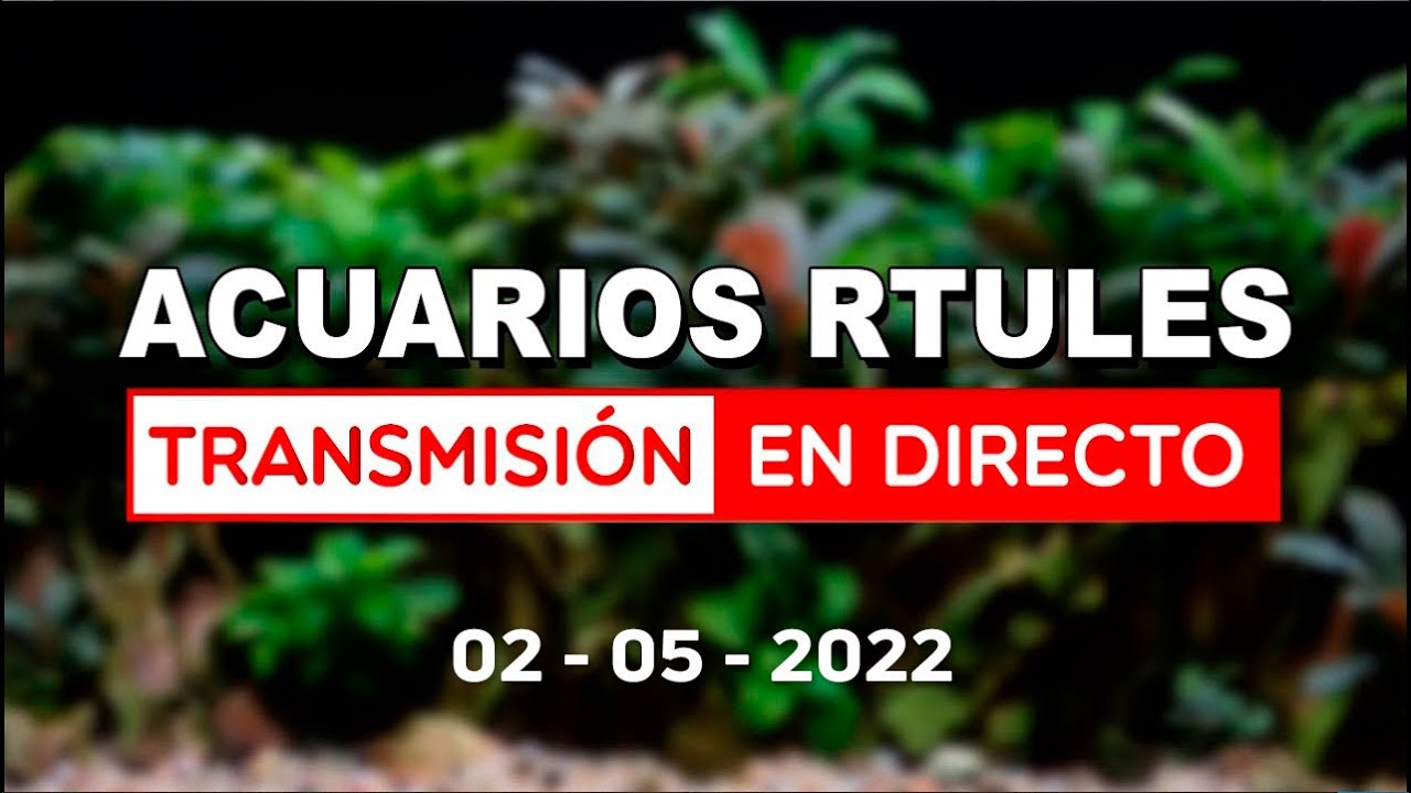 🔴 Directo ¿Qué barbaridades os han dicho por tener acuarios? - AcuariosRtules