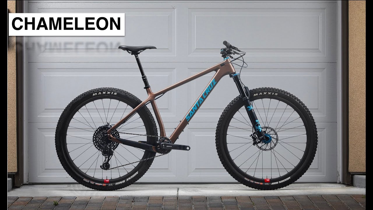 Santa Cruz Chameleon 2020
