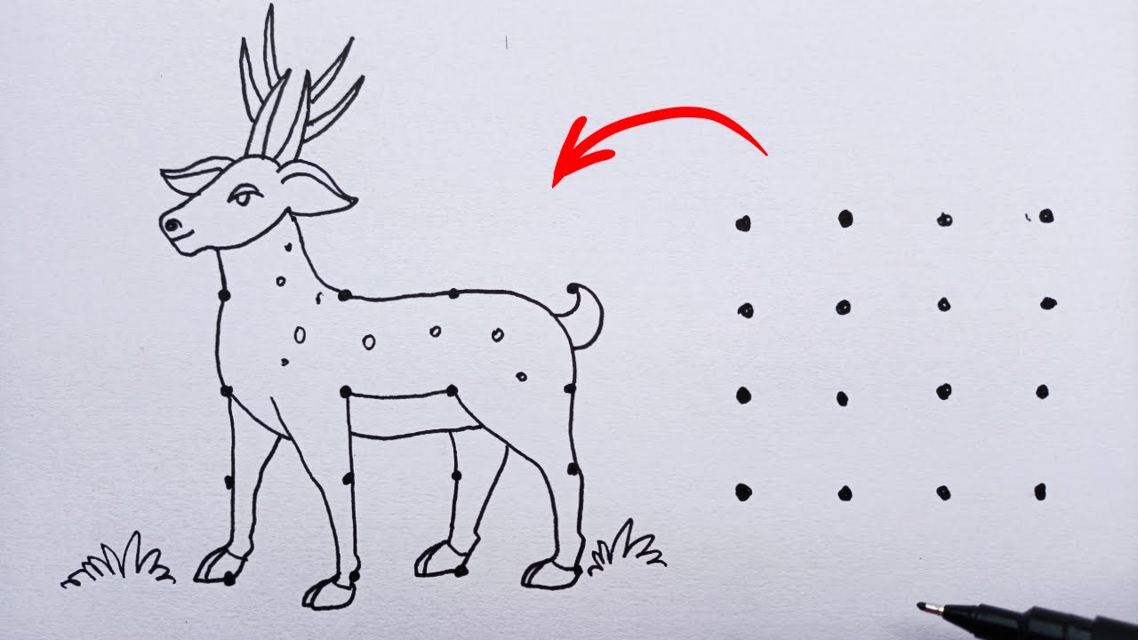 Deer Drawing With 4 × 4 Dots Easy Draw | How To Draw Deer With Dots Step By Step Tips