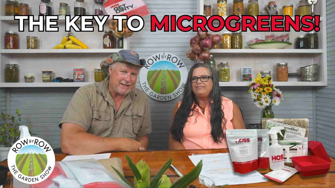 EASIEST Way To Grow Microgreens Indoors