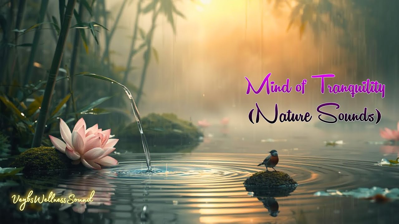 Mind of Tranquility(Nature Sounds)