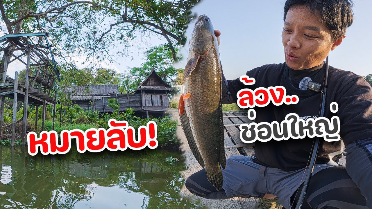 ล้วงช่อนใหญ่หมายลับ! คลองลอกใหม่ๆ