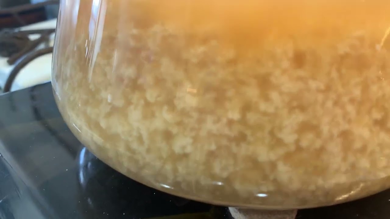 Birthing Brewing Yeast