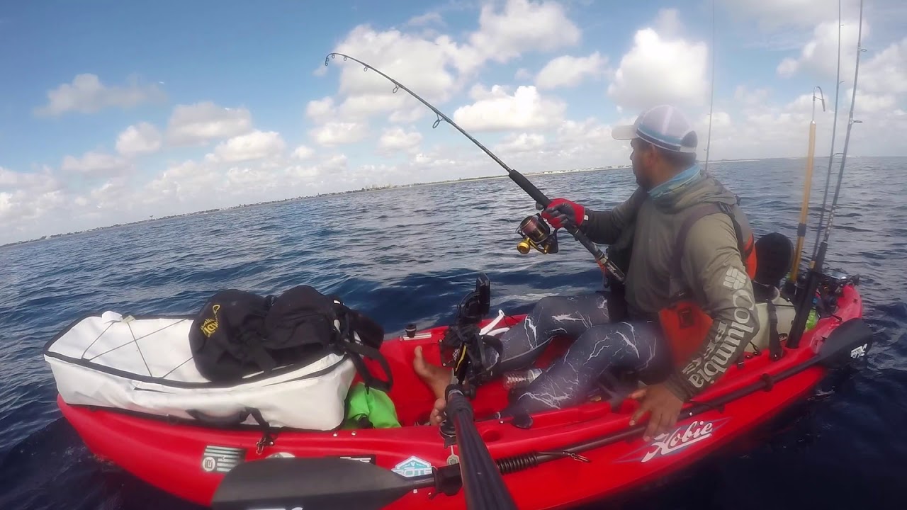 Seigler Reel Trigger Fish Bonita and Sailfish