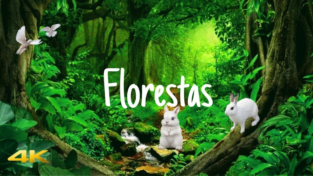 🎶4K UHD V&Iacute;DEO Florestas Rios P&aacute;ssaros,a Natureza completa para Relaxar com M&uacute;sica Relaxante