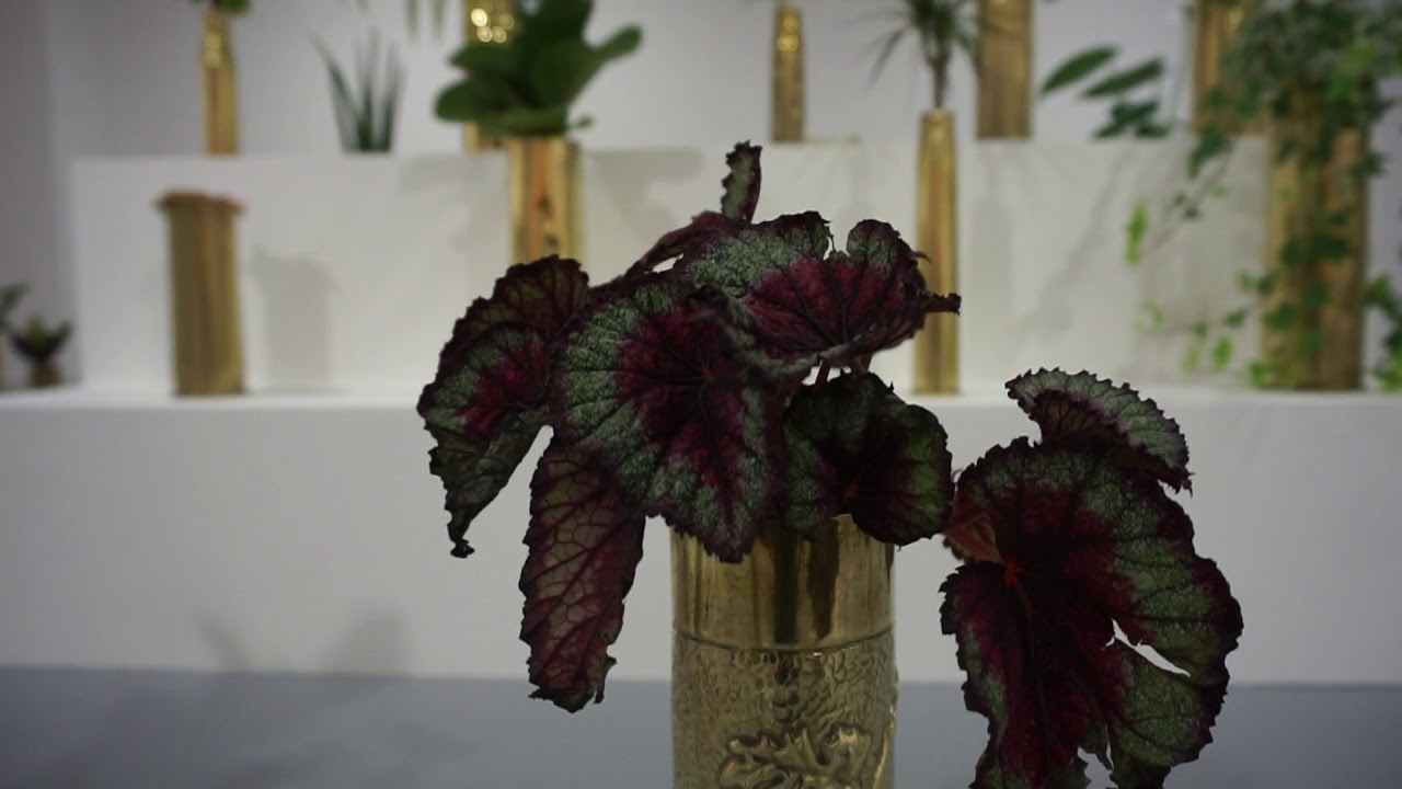 Visite de l'exposition 