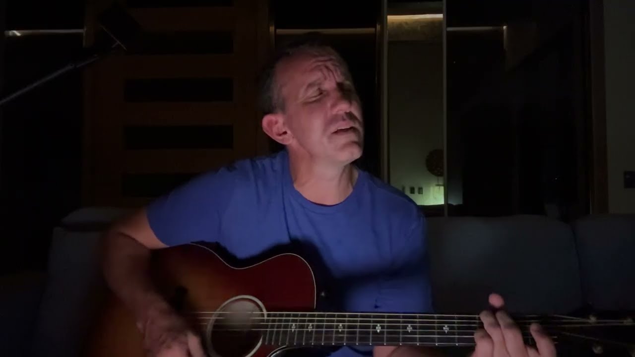 Animals Were Gone - Damien Rice (acoustic cover)