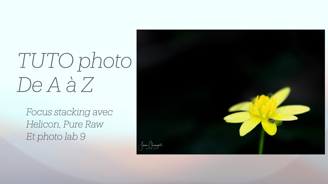 Tuto de A à Z : focus stacking de la prise de vue à l'export