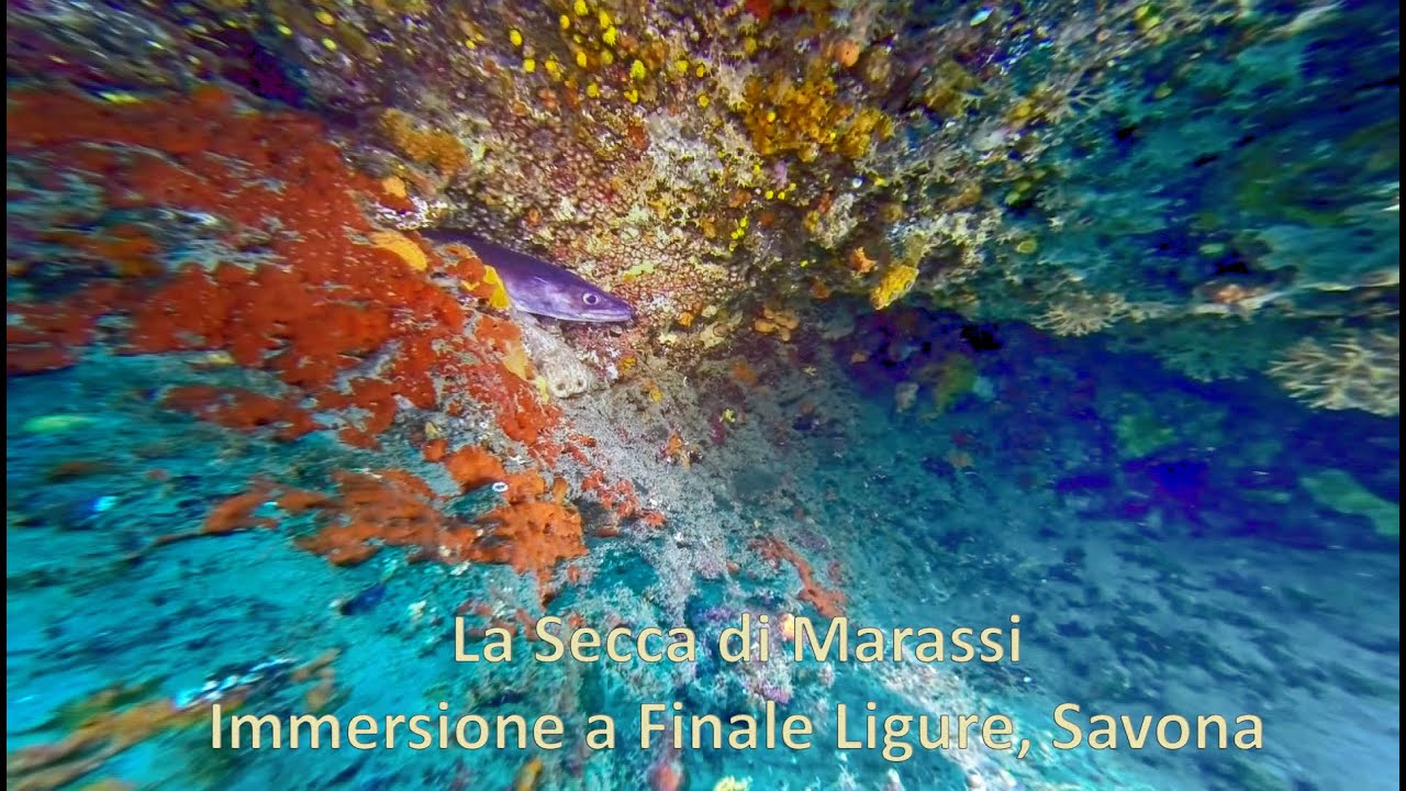 La Secca di Marassi - Immersione a Finale Ligure, Savona
