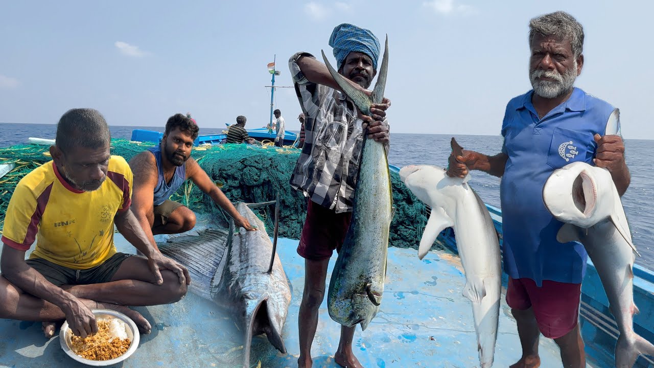 Amazing‼️The Sixteenth to Eighteenth Day We Stay In The Deep Sea 🤩 🌊 Epic Deep Sea Fishing & Cooking