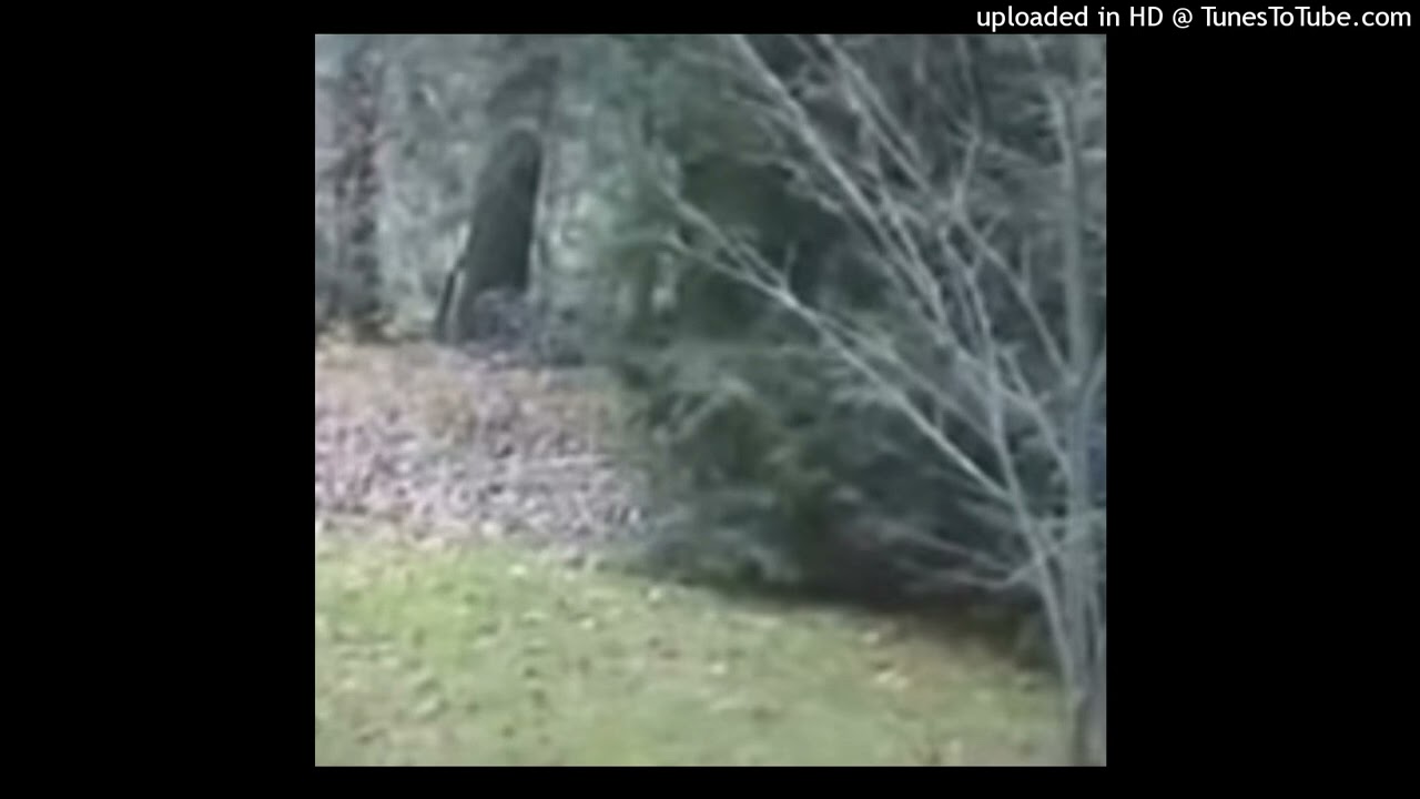 (free for all profits) imsg x suban x jaydes type beat - aero (prod. penelope de clare)