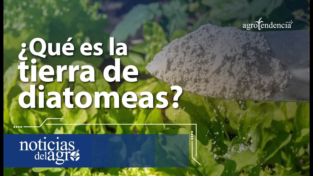Beneficios de la tierra de diatomeas en el agro 🌱