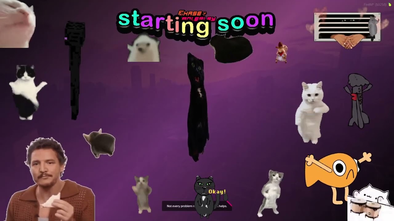 1 20 26 levitatingkitty   Sirexa, your AI personal companion ｜ ChaseRP